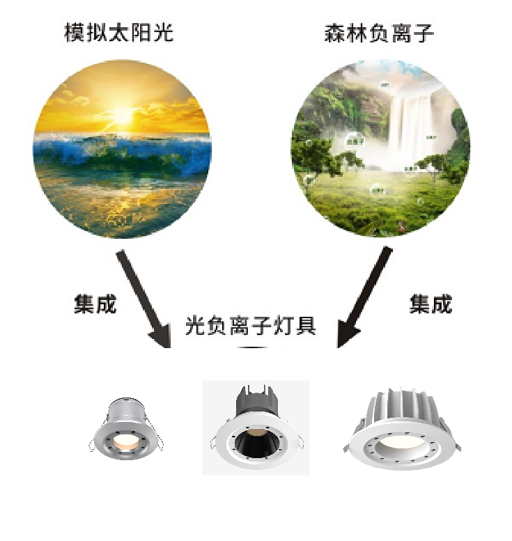 原理图.png