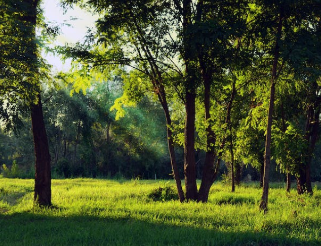 QQ截图20230612105438.png QQ截图20230612105438.png