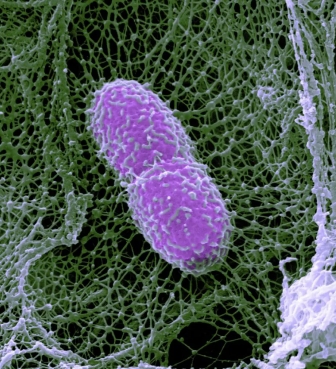 微信截图_20240816112355.png 微信截图_20240816112355.png